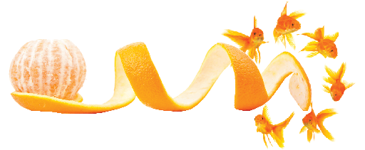 4-15-2016 4-45-39 PM